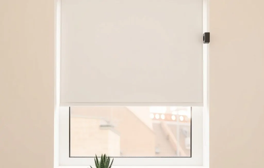 Vignette minimalista con persiana motorizada blanca y maceta de suculenta, evocando el servicio de motorización en Barcelona.